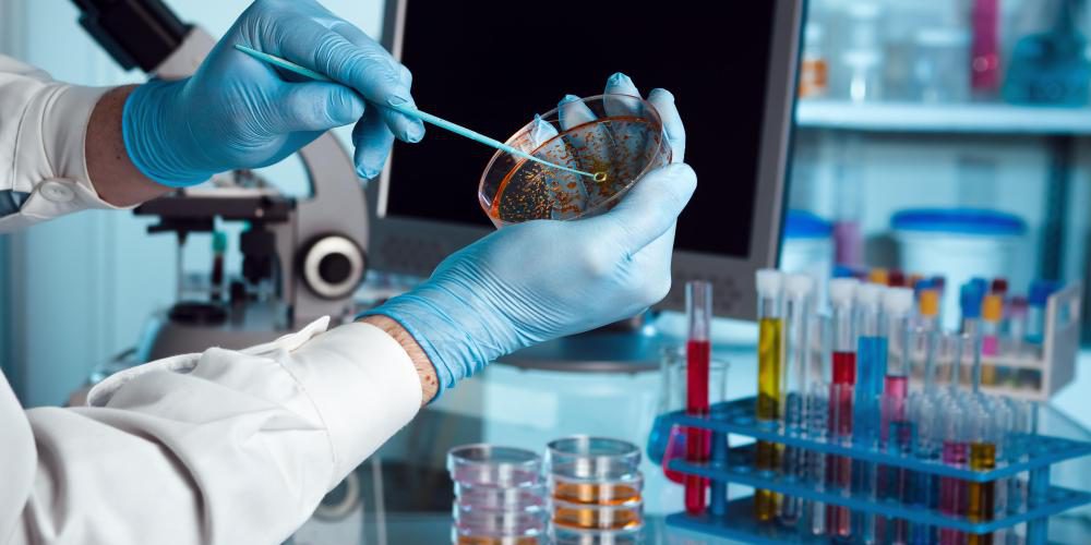 کنترل کیفی میکروبی