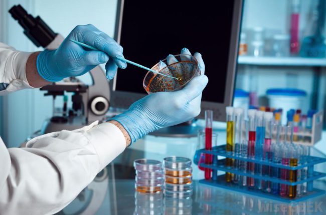 کنترل کیفی میکروبی