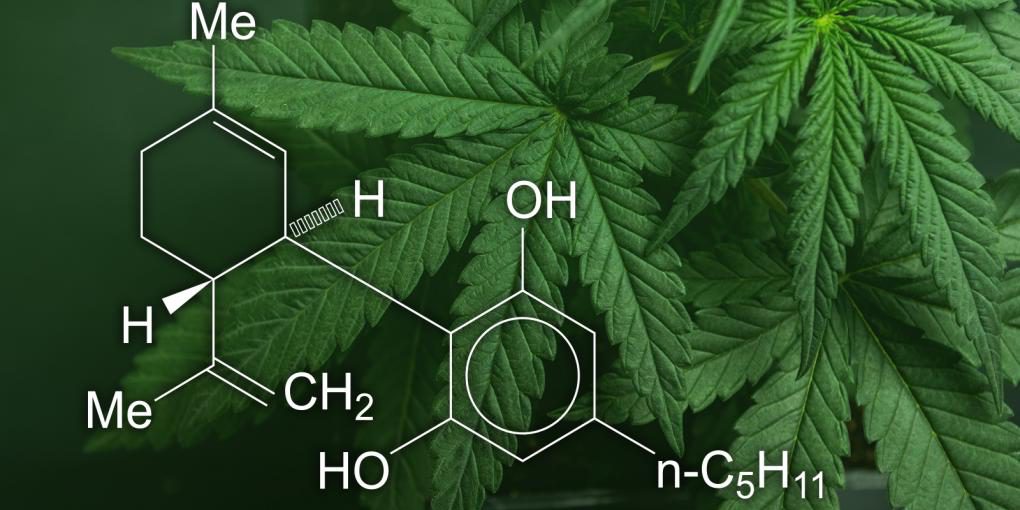 Cannabidiol_CBD_CU_05_1600x900