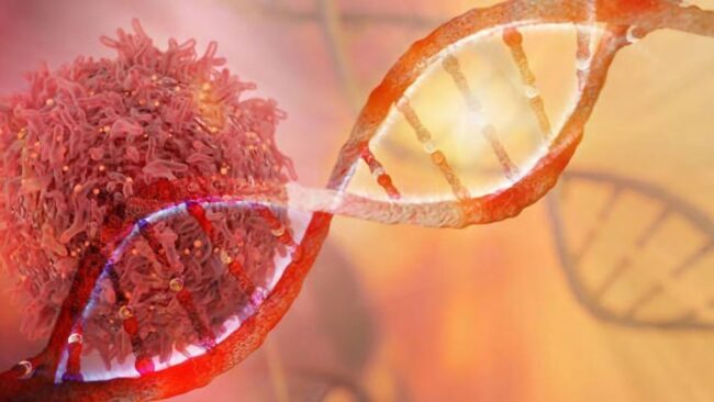 validation-guidance-for-residual-host-cell-dna-testing-353154-960×540